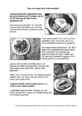 Was-sind-Lebensmittel-SW-1-2.pdf